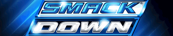 Banner WWE
