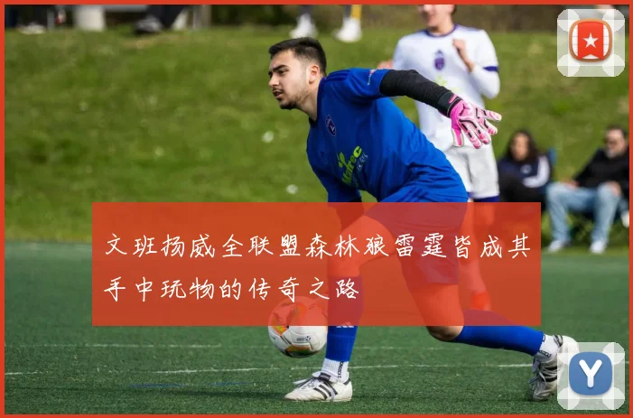 文班扬威全联盟森林狼雷霆皆成其手中玩物的传奇之路