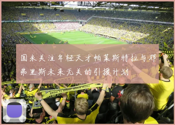 国米关注年轻天才帕莱斯特拉与邓弗里斯未来无关的引援计划