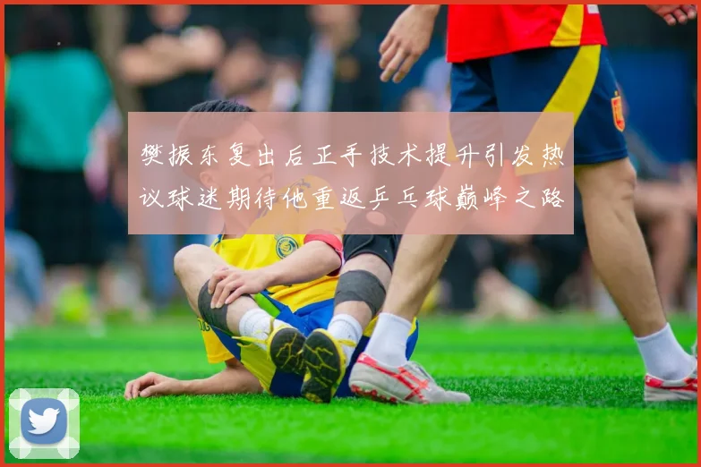 樊振东复出后正手技术提升引发热议球迷期待他重返乒乓球巅峰之路